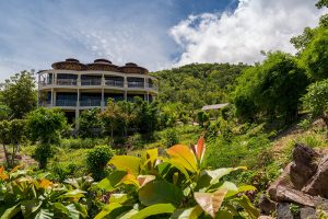 Orchid Building - Front View